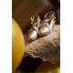 Sentaro Vodka Cross-Strap Ballet Shoes(5 Colours/Full Payment Without Shipping)